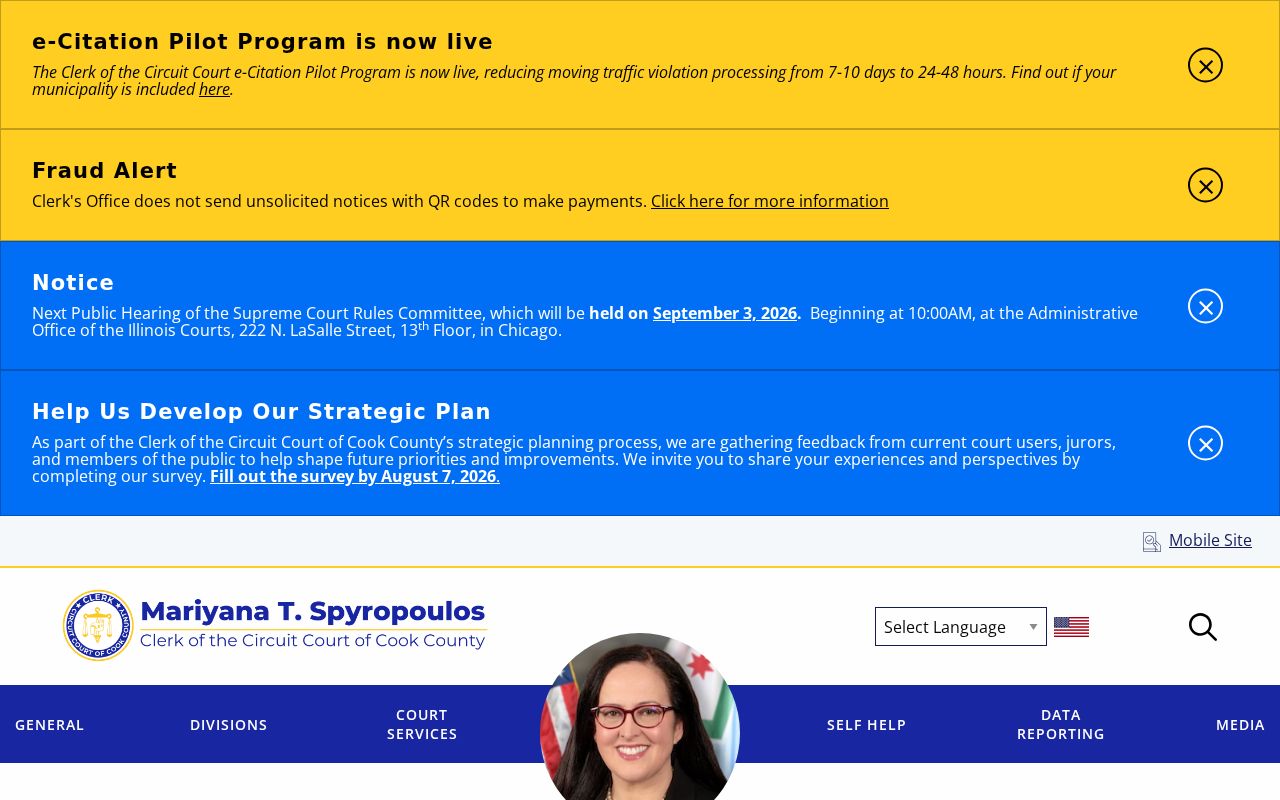 Cook County criminal history CCCPortal case lookup